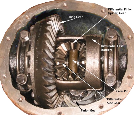 What are some symptoms that indicate your car's differential needs repair?