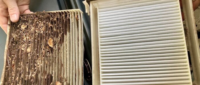 Importance of Regular Vehicle Maintenance: A Guide to Long-Lasting Cars